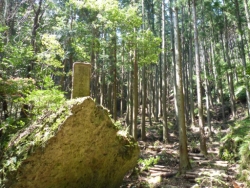 画像34